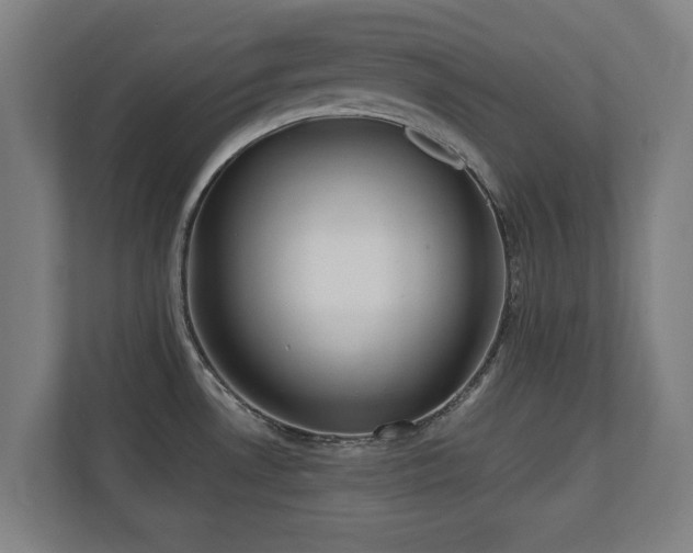 X0000110941530200906191220