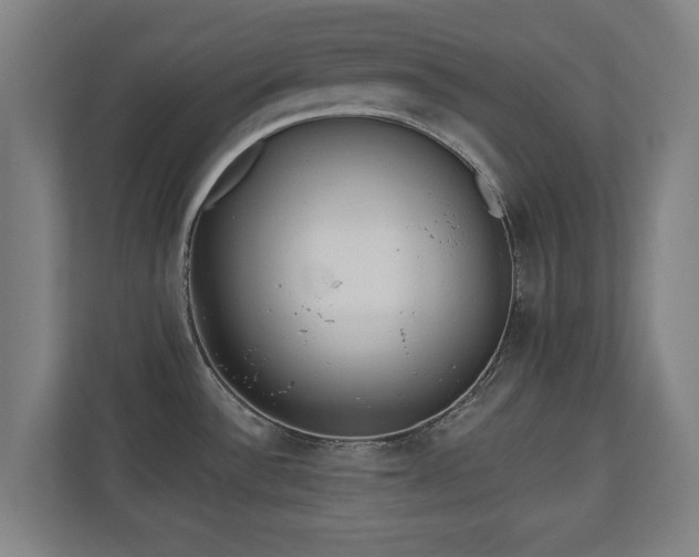 X0000110941532200906191220