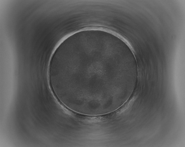 X0000110941533200906191220