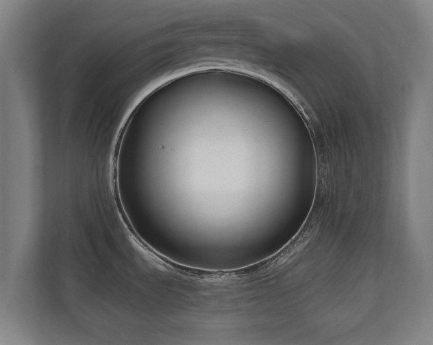X0000110941535200906191220