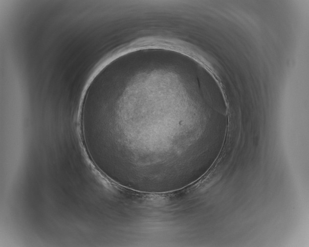 X0000110941536200906191220