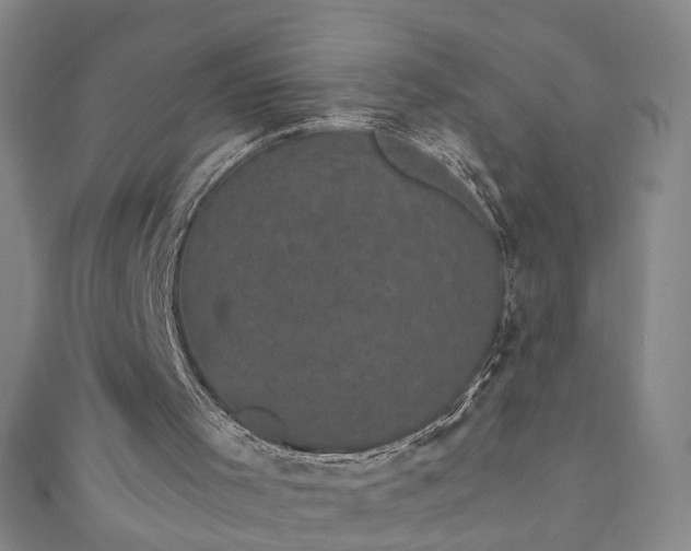 X0000110940001200906261310