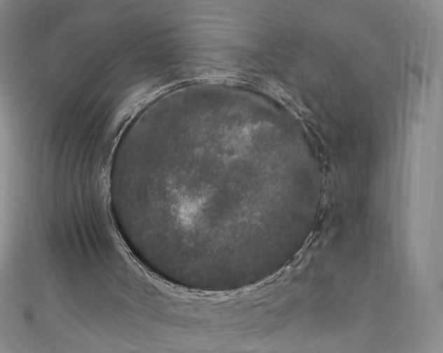 X0000110940002200906261310