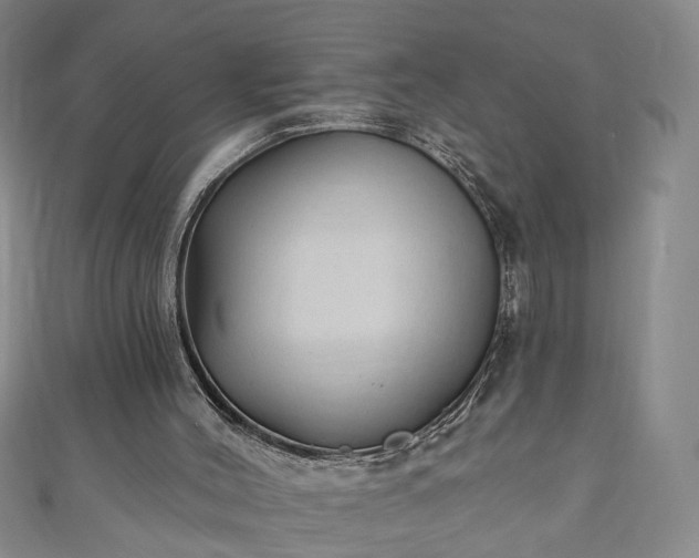 X0000110940004200906261310