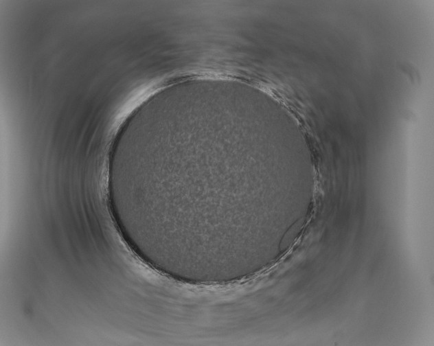 X0000110940005200906261310