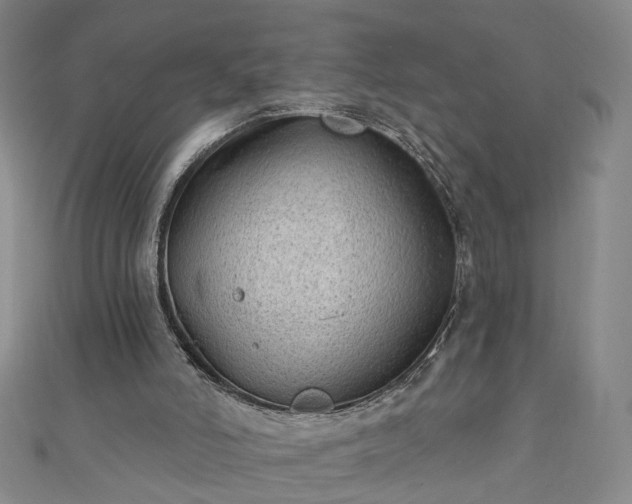 X0000110940006200906261310