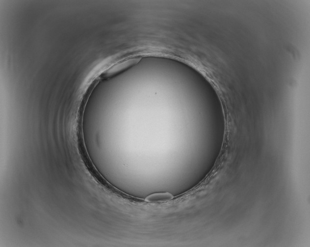 X0000110940007200906261310