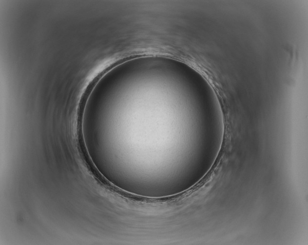 X0000110940008200906261310