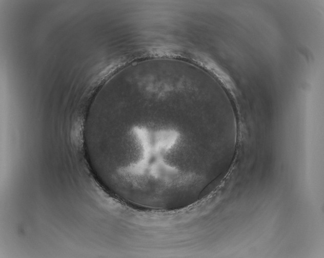 X0000110940009200906261310