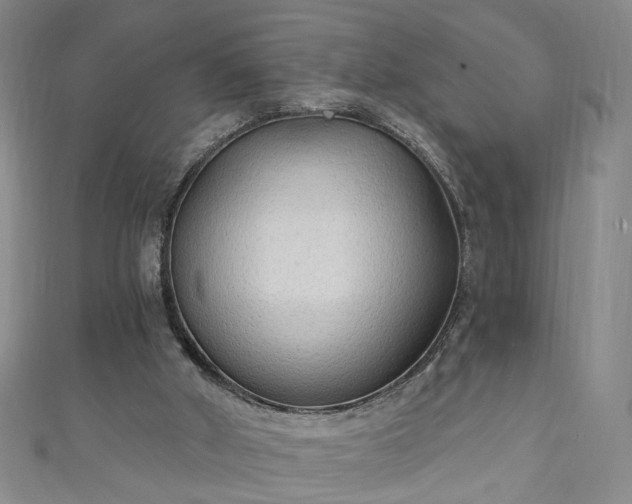 X0000110940010200906261310