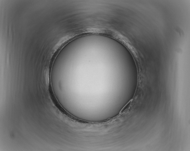 X0000110940011200906261310