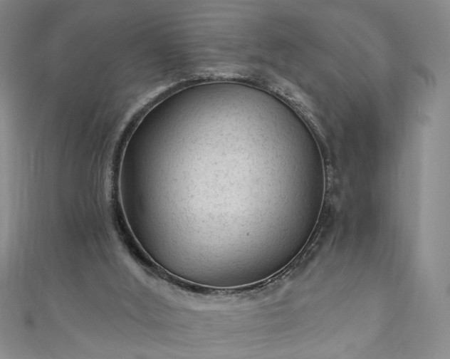 X0000110940012200906261310