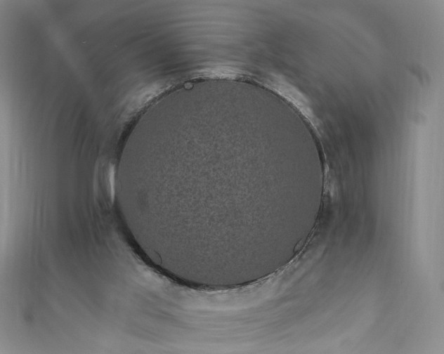 X0000110940013200906261310