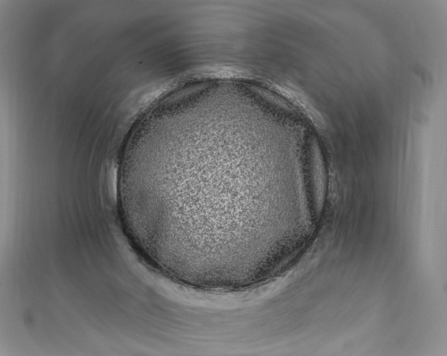 X0000110940014200906261310