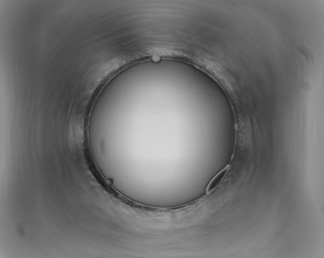 X0000110940015200906261310