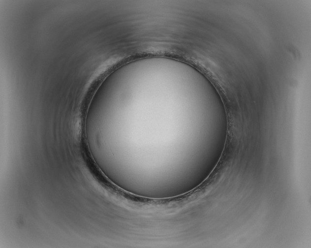 X0000110940016200906261310