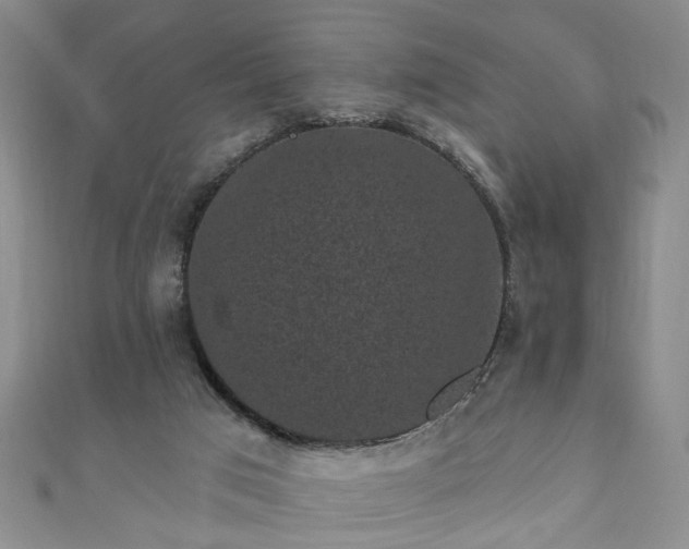 X0000110940017200906261310