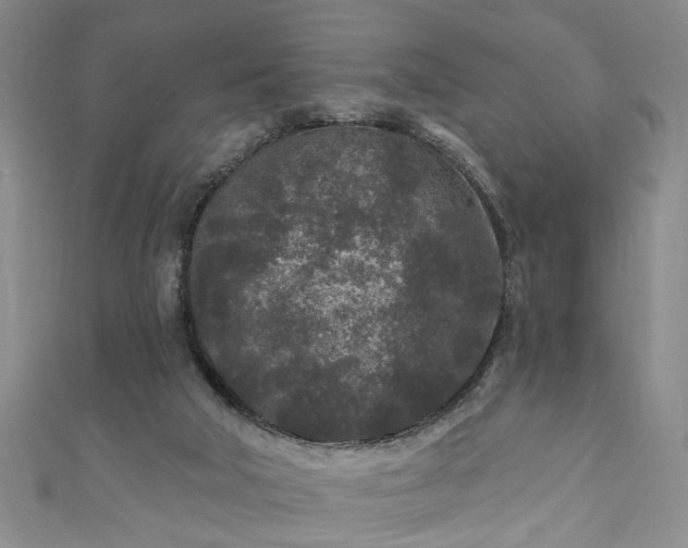 X0000110940018200906261310