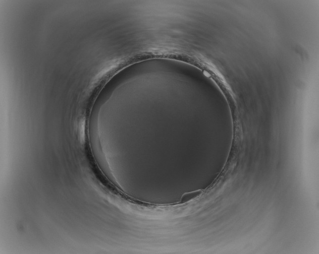 X0000110940019200906261310