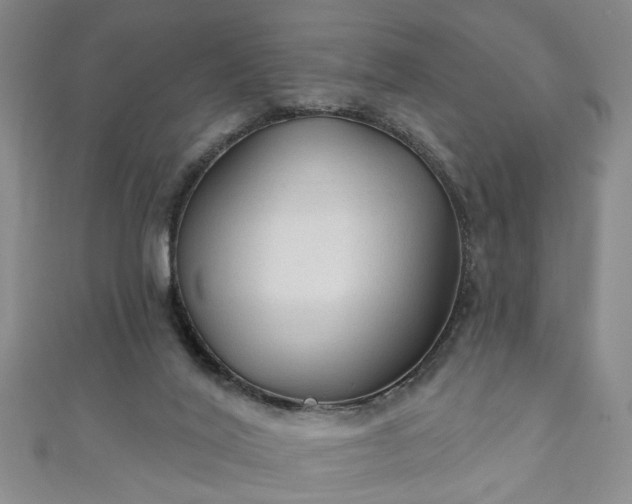 X0000110940020200906261310