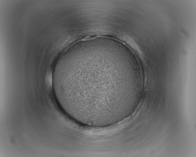 X0000110940021200906261310