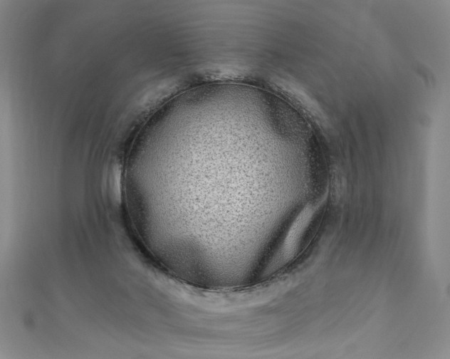 X0000110940022200906261310