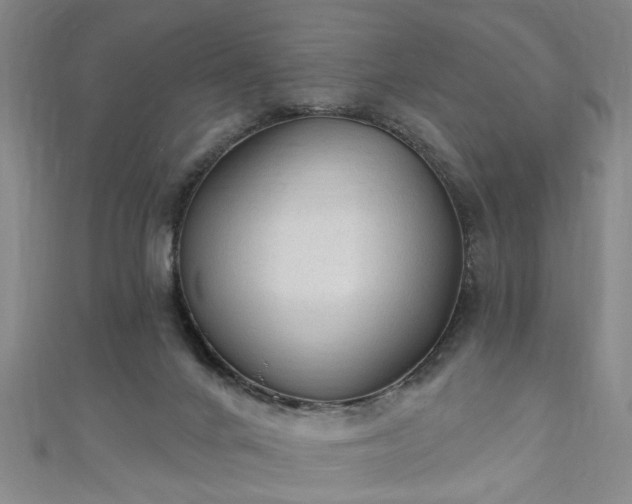 X0000110940024200906261310