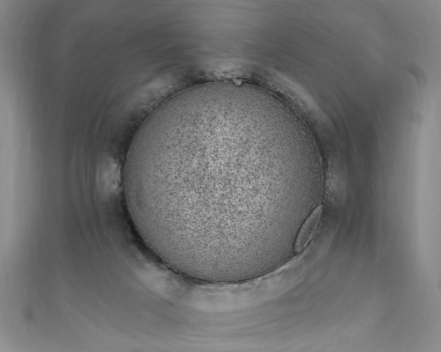 X0000110940025200906261310