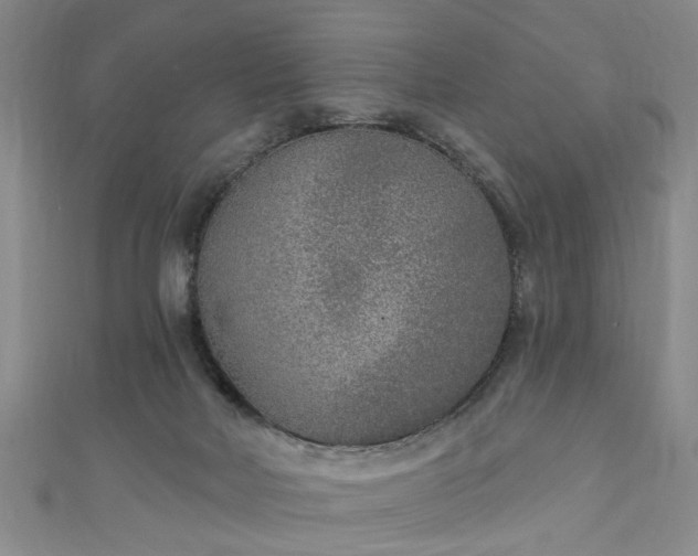 X0000110940026200906261310