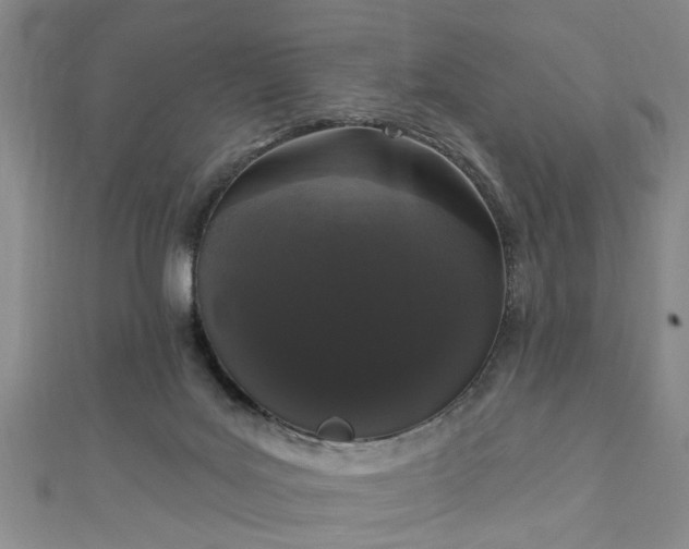 X0000110940027200906261310