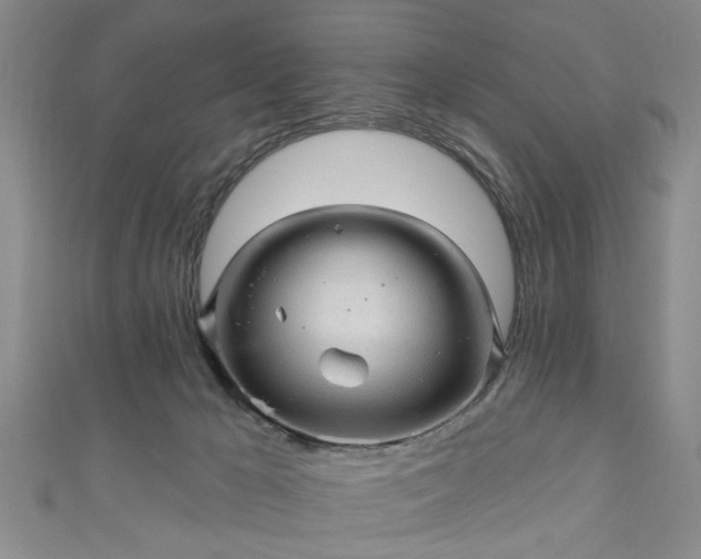 X0000110940029200906261310