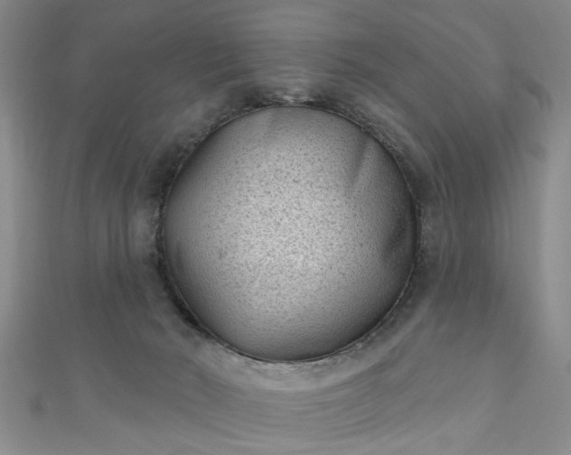 X0000110940030200906261310