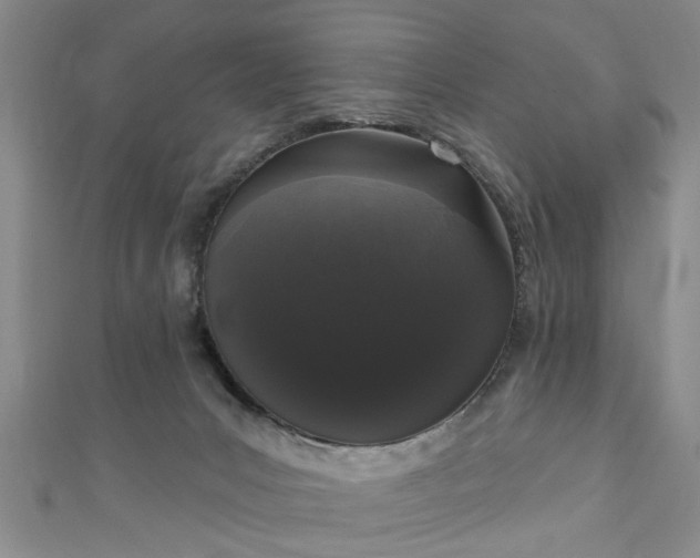 X0000110940031200906261310