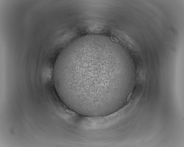 X0000110940033200906261310