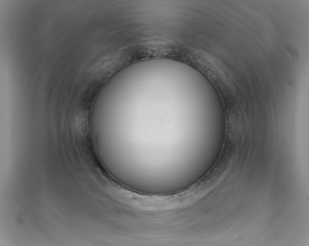 X0000110940034200906261310