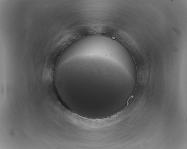 X0000110940035200906261310