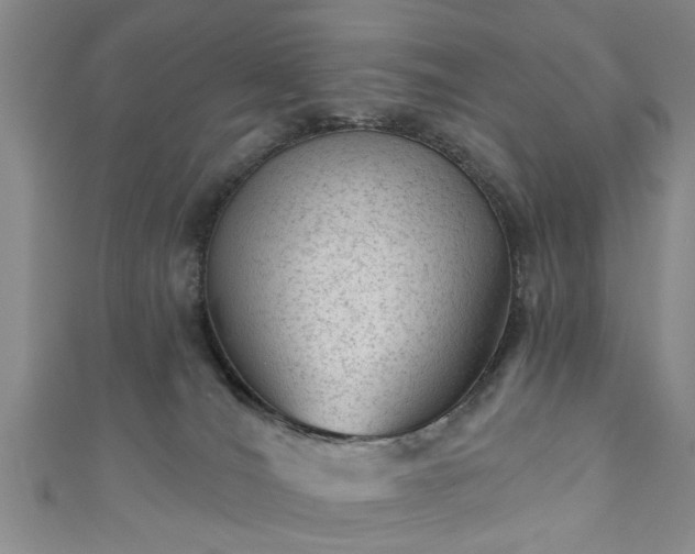 X0000110940036200906261310