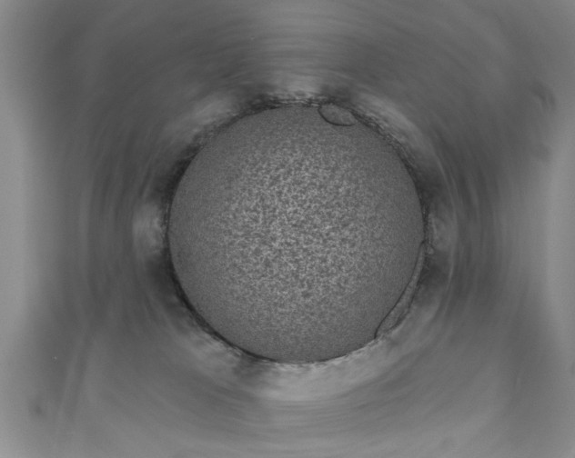 X0000110940037200906261310