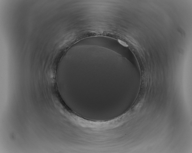 X0000110940039200906261309