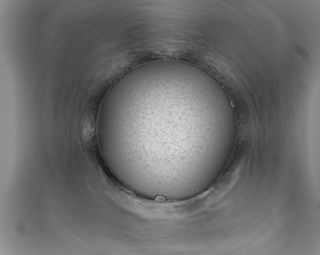 X0000110940040200906261309