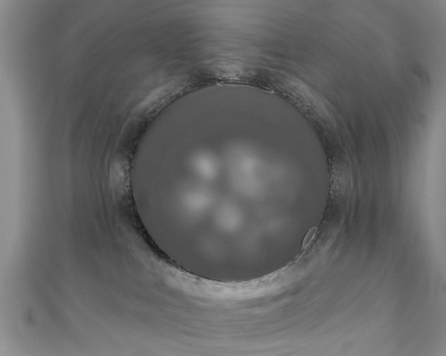 X0000110940043200906261309