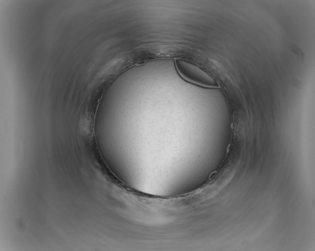 X0000110940044200906261309