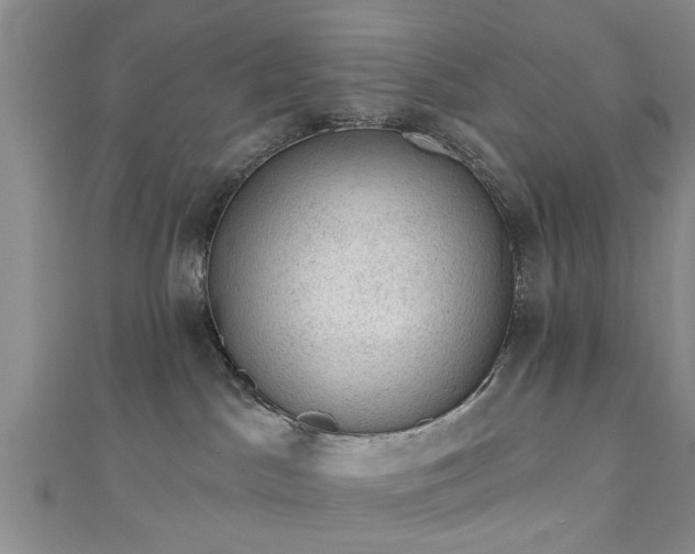 X0000110940045200906261309