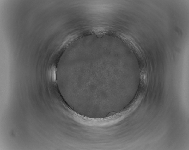 X0000110940046200906261309