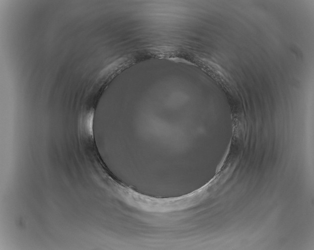 X0000110940047200906261309