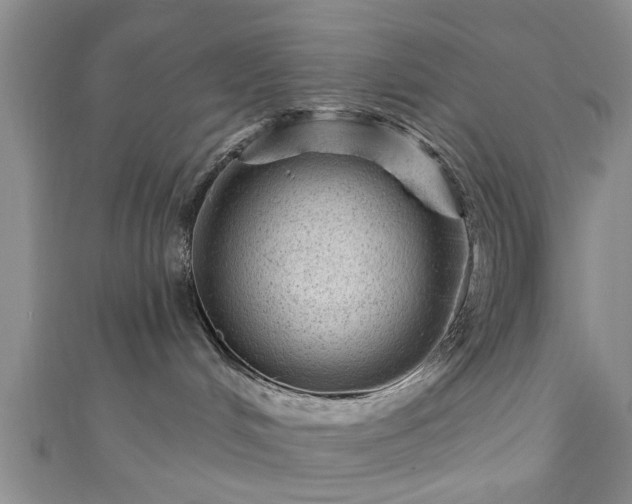 X0000110940048200906261309