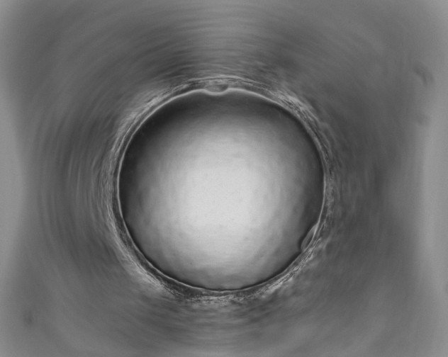 X0000110940049200906261309