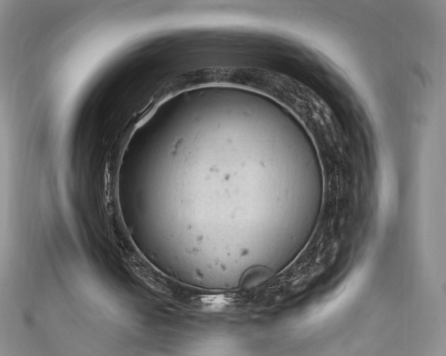 X0000110940050200906261309