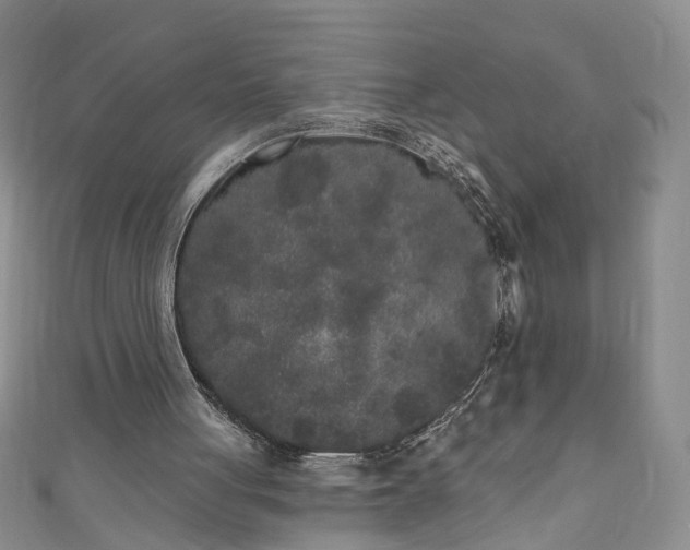 X0000110940051200906261309