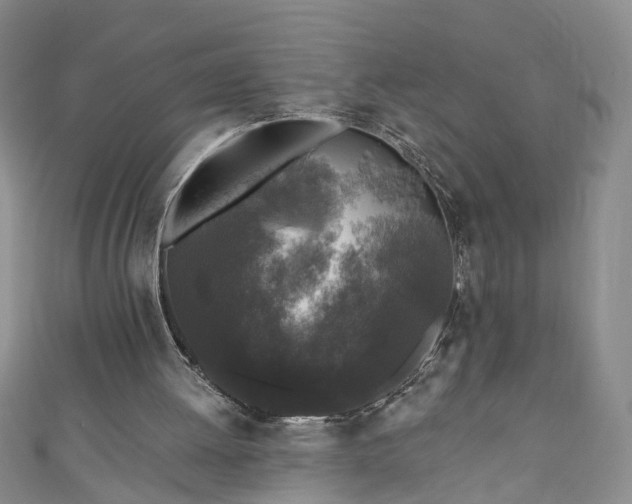 X0000110940052200906261309